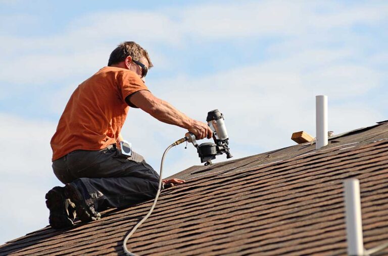 A raccoon clambers near the edge of a residential roof, inspecting loose shingles and a vent cover.